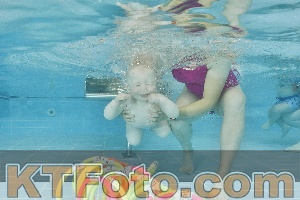 Foto 4318426