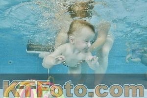 Foto 4318429