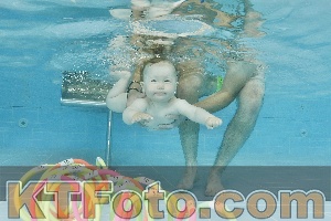 Foto 4318434