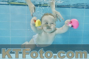 Foto 4318512