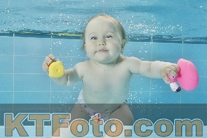 Foto 4318514