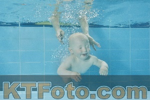 Foto 4320302
