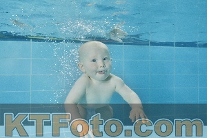 Foto 4320303