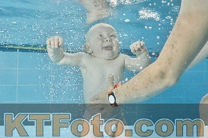 Foto 4320305