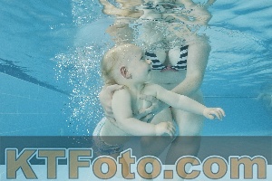 Foto 4320397
