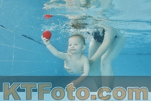 Foto 4320402