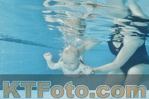 Foto 4320404