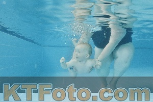 Foto 4320414