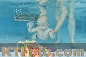 Foto 4320494