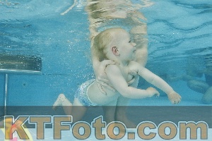 Foto 4318717