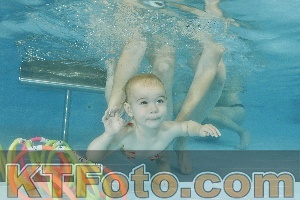 Foto 4320704