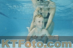 Foto 4320847