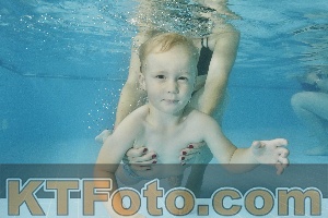 Foto 4320848