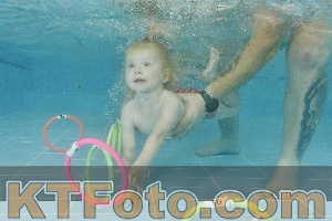 Foto 4320955