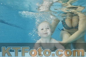 Foto 4321108