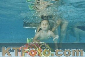 Foto 4321185