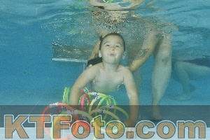Foto 4321186