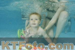 Foto 4321193