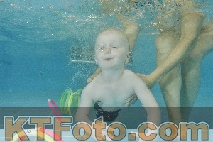 Foto 4321196