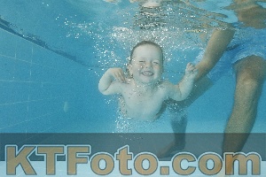 Foto 4321307