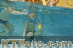 Foto 4321329