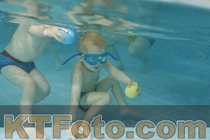 Foto 4321330