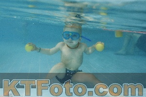 Foto 4321341