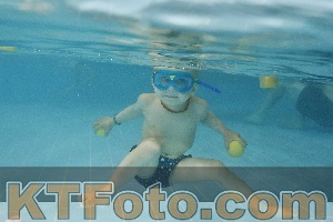 Foto 4321342