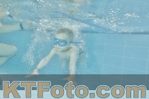 Foto 4321408