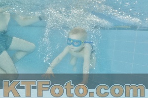 Foto 4321409
