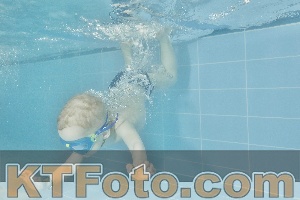 Foto 4321417