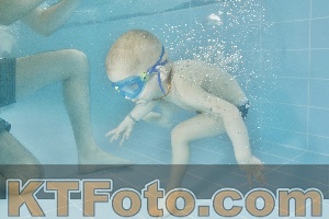Foto 4321419