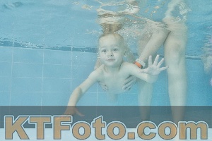 Foto 4321421