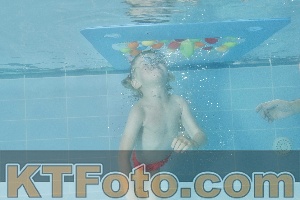 Foto 4321566