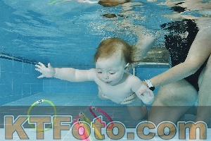 Foto 4323319