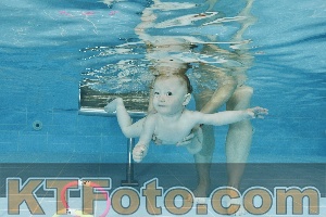 Foto 4323322