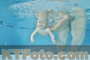 Foto 4323560
