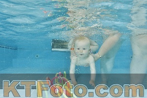 Foto 4323576
