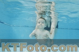 Foto 4323775