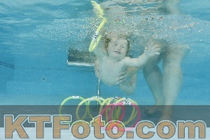 Foto 4324005