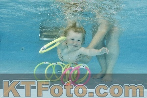 Foto 4324007