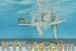 Foto 4324011