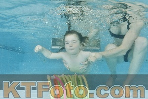 Foto 4324208