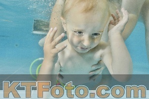 Foto 4324424