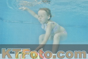 Foto 4325041