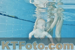 Foto 4321651