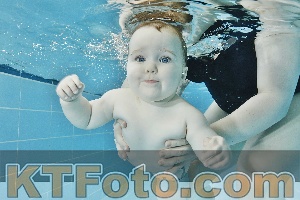 Foto 4321657