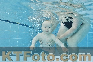 Foto 4321660