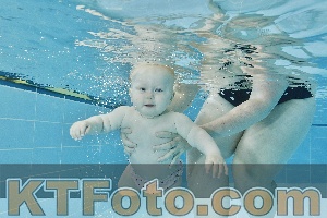 Foto 4321661