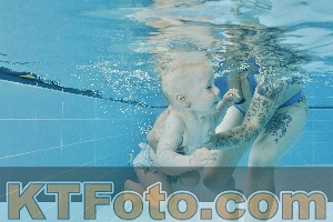 Foto 4321664